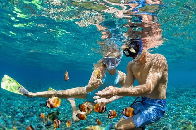 Bali Blue Lagoon Snorkeling Tour All Inclusive - Logistics that can make or break the day: pickup areas and meeting point