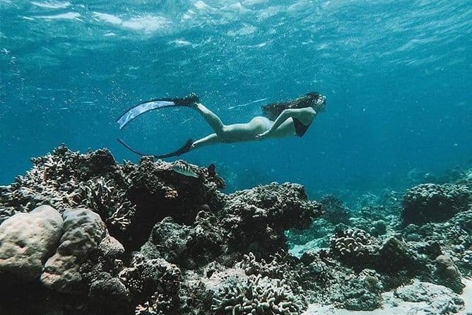 Bali Blue Lagoon Snorkeling Tour All Inclusive - Who should book this snorkeling tour (and who should skip it)