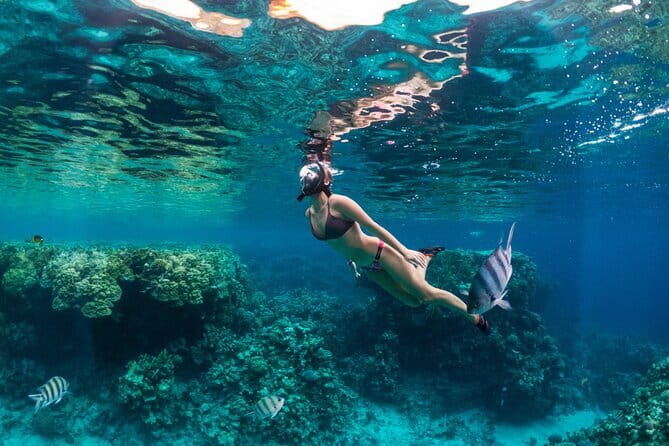 Bali Blue Lagoon Snorkeling Tour All Inclusive - Tanjung Jepun: calmer waters and lots of colorful fish