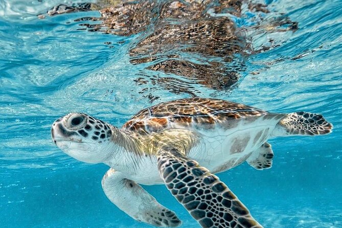 Bali Blue Lagoon Snorkeling with Optional Tour & Activities - Optional Add-Ons: How to Turn This Into a Full-Day East Bali Adventure