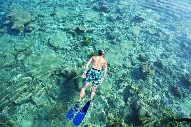Bali Blue Lagoon Snorkeling with Private Transfer and Lunch - Price and value: Why $42 can work (when you price the parts)