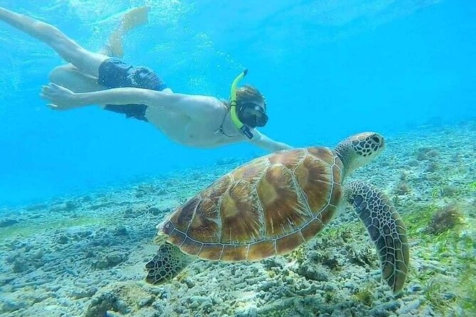 Bali Blue Lagoon Snorkeling with Private Transfer & Lunch - Waterfall upgrade: Tibumana and Kanto Lampo (if weather allows)