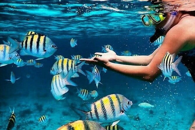 Bali Blue Lagoon Snorkeling with Waterfalls Tour - all included - Key things I’d note before you book