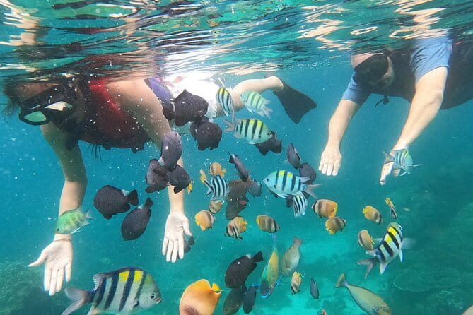 Bali Blue Lagoon Snorkeling with Waterfalls Tour - all included - Stop 2: Taman Sari Waterfall and the natural pool moment