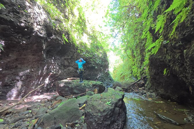 Bali Canyoning Trip – Explore Hidden Waterfalls & Gorges - Bali Canyoning From Seminyak: North Bali’s Waterfall-to-Canyon Day