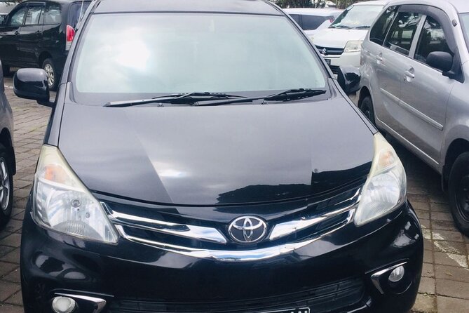 Bali Car Hire with Driver - South Bali essentials: Tanah Lot, beaches, and the photo-friendly coast