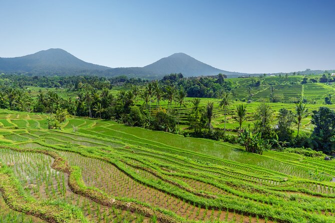Bali Charm: Full-Day Bedugul and Tanah Lot Tour (UNESCO) - All Inclusive Tickets - Tanah Lot: The Sea Temple, Tidal Timing, and Sunset Reality