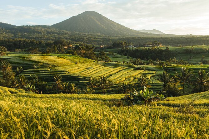 Bali Charm: Full-Day Bedugul and Tanah Lot Tour (UNESCO) - All Inclusive Tickets - Optional Mountain and Garden Stops When You Have Extra Time