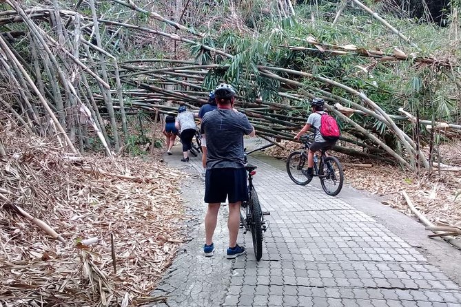Bali Countryside Cycling Adventure - Tegalalang to Penglipuran: where the scenery and culture lock together