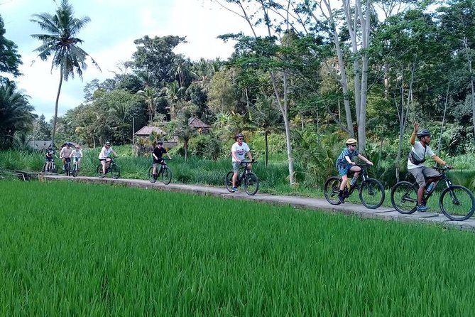 Bali Countryside Cycling Adventure - Safety on Bali roads: the hidden strength of this tour
