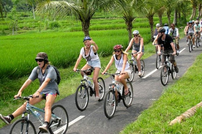 Bali Countryside Cycling Tour by Halo Bike Tour - Why This Bali Countryside Ride Feels Different From Standard Tours