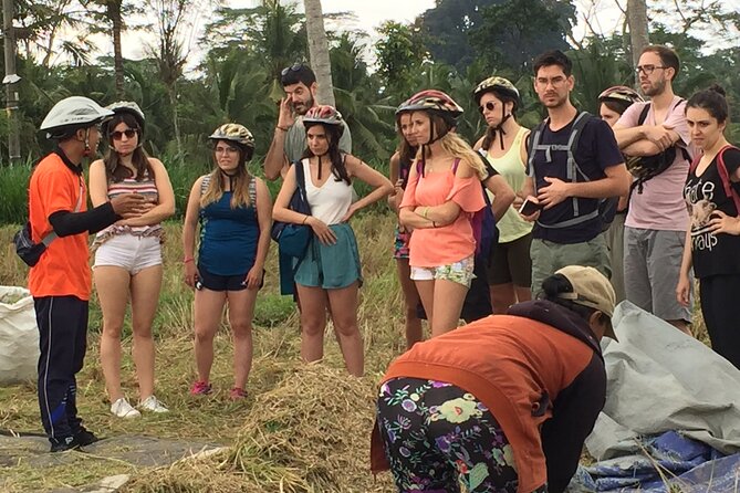 Bali Countryside Cycling Tour by Halo Bike Tour - The Back-Road Countryside: Rural Life, Quiet Roads, and a Real Pace