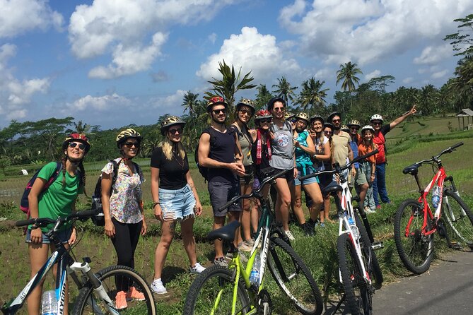 Bali Countryside Cycling Tour by Halo Bike Tour - Lunch at a Traditional Balinese Home: Buffet Meal and Optional Cooking