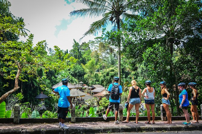Bali Countryside Cycling Tours - The downhill ride: what to expect when it says mellow