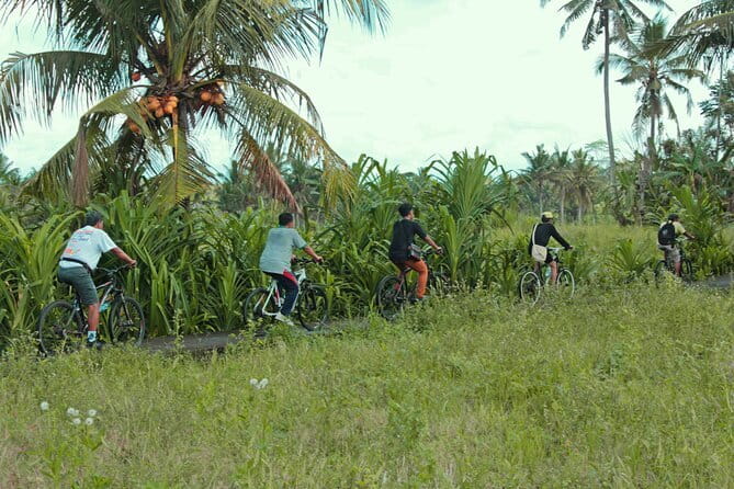 Bali Countryside Eco Cycling Tour include Lunch - Key things to know before you go