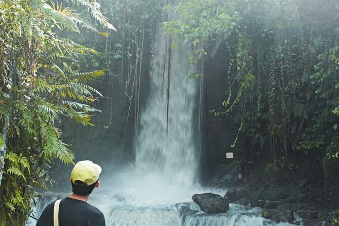 Bali Countryside Eco Cycling Tour include Lunch - Price and What Makes It Good Value at $78.21
