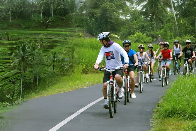 Bali Countryside Eco Cycling Tour include Lunch - Stop 1: Bali Budaya Cultural Village and Spiritual Journey