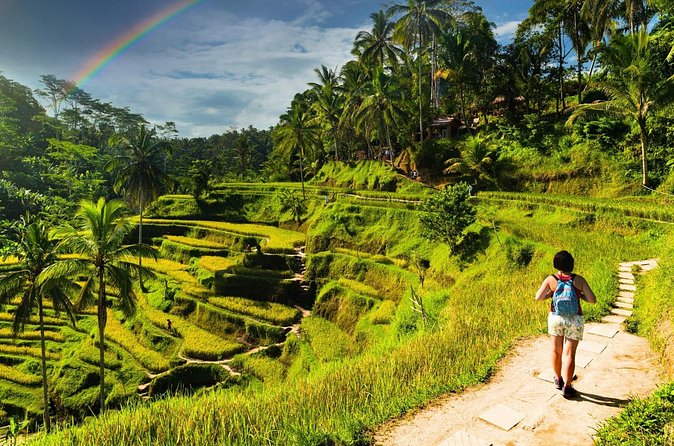 Bali Cultural Experience - Who This Tour Suits Best