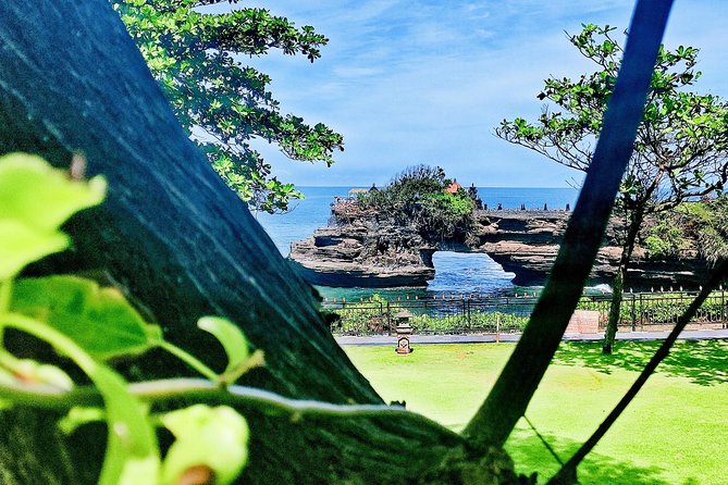 Bali Culture and Choose Your Bali Tour Route in Bali with Bali driver-Free WIFI - Tirta Empul Temple: holy spring water and ritual bathing