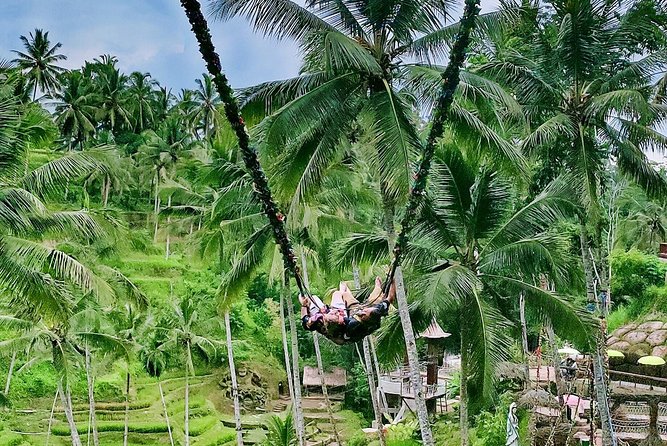 Bali Culture and Choose Your Bali Tour Route in Bali with Bali driver-Free WIFI - Your driver-guide really sets the tone in Bali