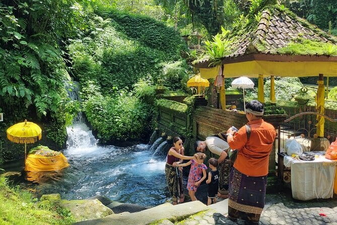 Bali Customizable Multi Language Tour with Driver-Guide - Key things I’d zero in on before booking