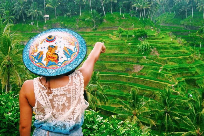 Bali Customizable Multi Language Tour with Driver-Guide - Who this tour fits best (and who should look elsewhere)