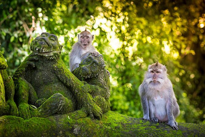 Bali Customized Private Tour - Seminyak Pickup to a Full-Day Bali Plan in Your Control
