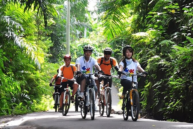 Bali Cycling and Ubud Waterfall Tour - How this private downhill cycling day actually feels