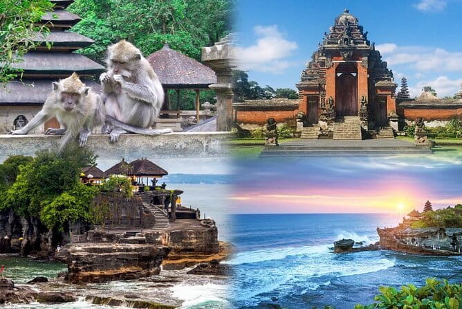 Bali Day Trip: Bali Instagram Tour (All Inclusive & Private) - Bali Swing and Bird Nest: adrenaline with photo support