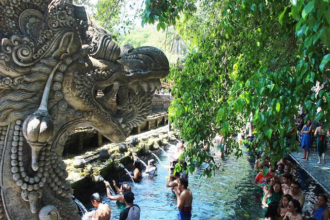 Bali Day Trip: Ubud Temples & Hidden Waterfalls - Tirta Empul Temple: The Purification Ritual That Makes It Feel Real