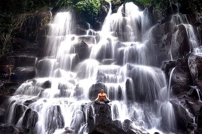 Bali Day Trip: Ubud Temples & Hidden Waterfalls - Tegalalang Rice Terrace: Photo Time With a Practical Backstory