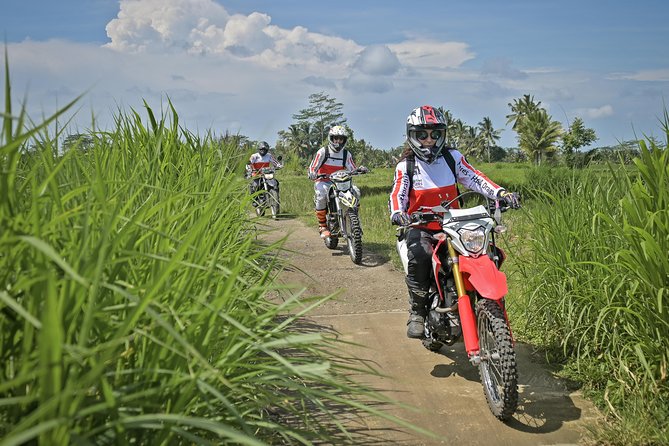 Bali Dirt Bike Adventure - Mount Batur crater riding: the highlight that feels different