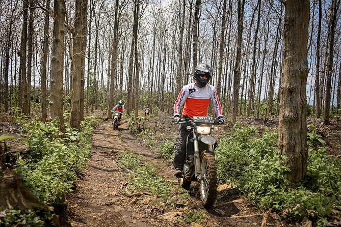 Bali Dirt Bike Adventure - Tegalalang rice terraces: a scenic reset between trail sections