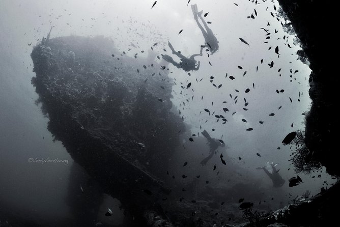 Bali Diving Day Trip-Manta Point/Tulamben Shipwreck-Fun Dive - What you’ll actually see: portholes, coral on metal, and fish detail