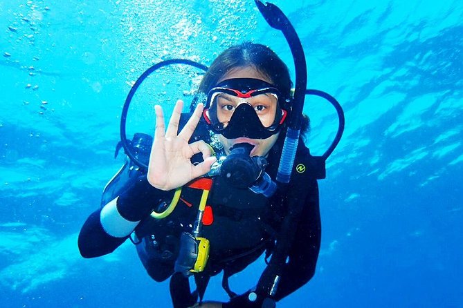 Bali Diving for Beginners: Tulamben Liberty Wreck - Why the USS Liberty Wreck works so well for first-timers