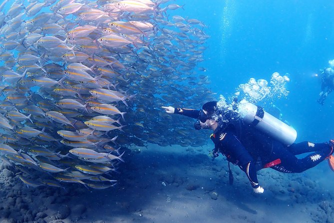 Bali Diving for Beginners: Tulamben Liberty Wreck - USS Liberty Wreck: what makes this session worth the morning