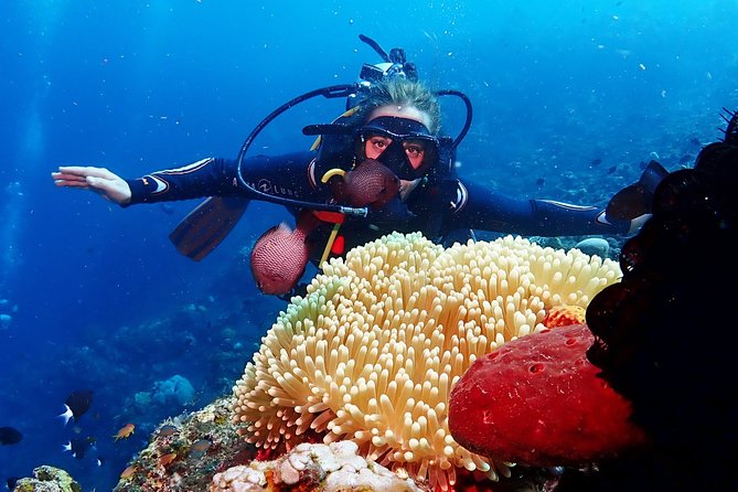 Bali Diving for Beginners: Tulamben Liberty Wreck - Timing and the “5 hours” reality