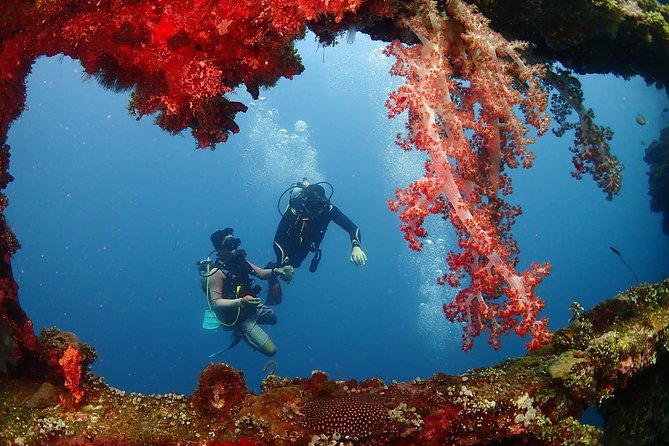 Bali Diving for Beginners: Tulamben Liberty Wreck - Transfers, changing, lunch, and reusable cups: the comfort side you’ll actually feel