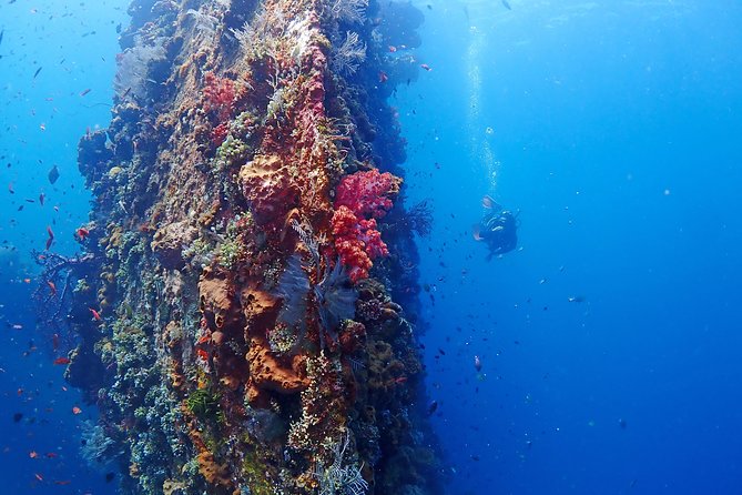 Bali Diving for Beginners: Tulamben Liberty Wreck - Safety and who this experience is really for
