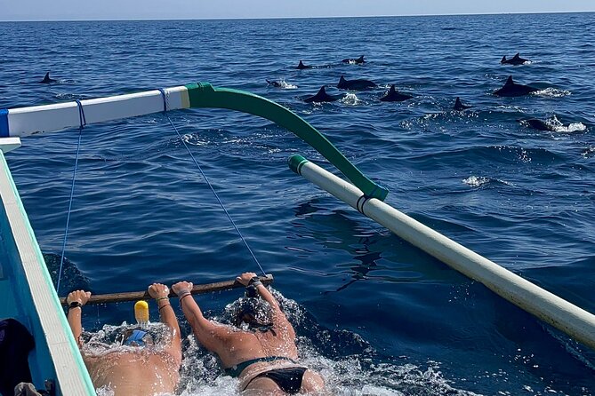Bali : Dolphin Sunrise Experience Tour Private All Inclusive - Key highlights you’ll actually care about