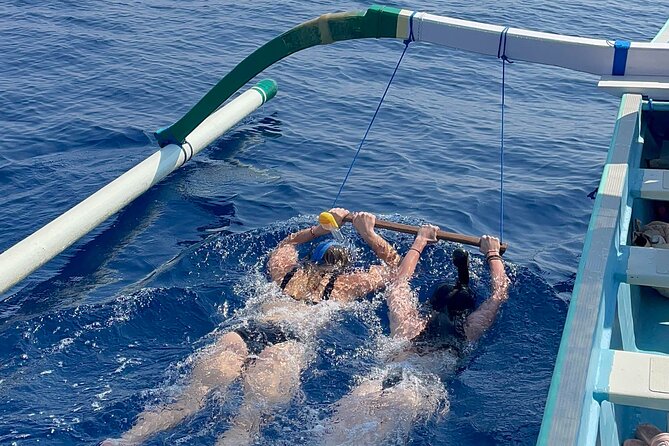 Bali : Dolphin Sunrise Experience Tour Private All Inclusive - The 4:30am reality check (and how to plan for it)