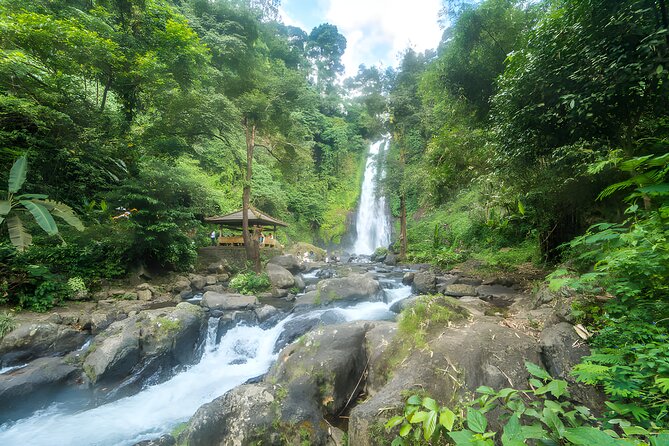 Bali Dolphin Watching Sunrise Tour in Lovina Beach - Sunrise on Lovina black sand: what makes this tour special