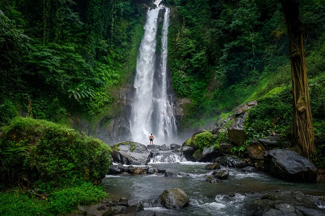 Bali Dolphin Watching Sunrise Tour in Lovina Beach - Smart casual, sunscreen, camera, and change of clothes: your packing list