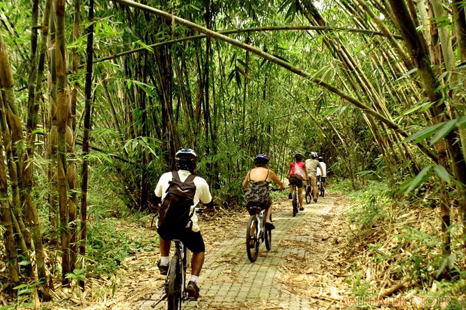 Bali Downhill Cycling and White Water Rafting - Ayung River rafting: where the rapids and carvings meet