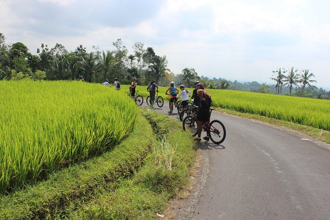 Bali Downhill Cycling and White Water Rafting - Who should book this Bali combo tour (and who might pass)