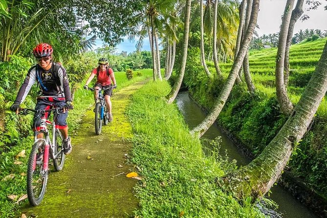 Bali Downhill Cycling and White Water Rafting - Kintamani downhill cycling: more than just coasting