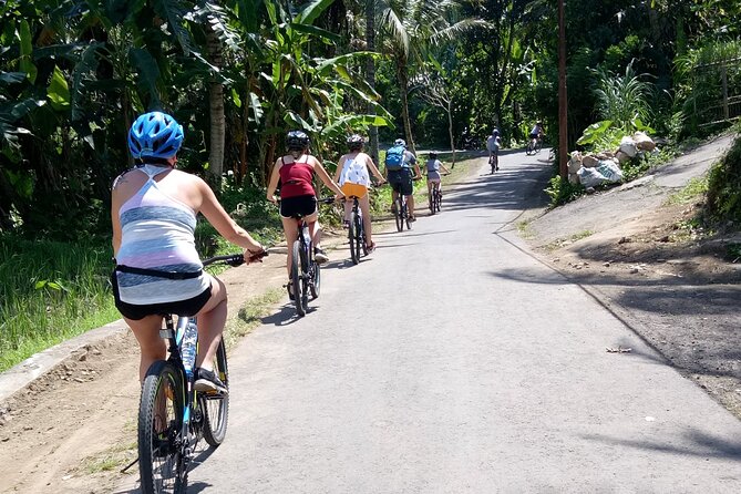 Bali Downhill Natural Cycling Tour & visit Volcano - Kintamani and Mount Batur crater lake: the view stop you plan around