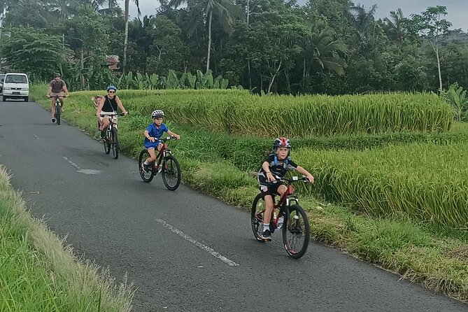 Bali Downhill Natural Cycling Tour & visit Volcano - Manukaya village roads: temple stop, rice paddies, and the photo-friendly downhill