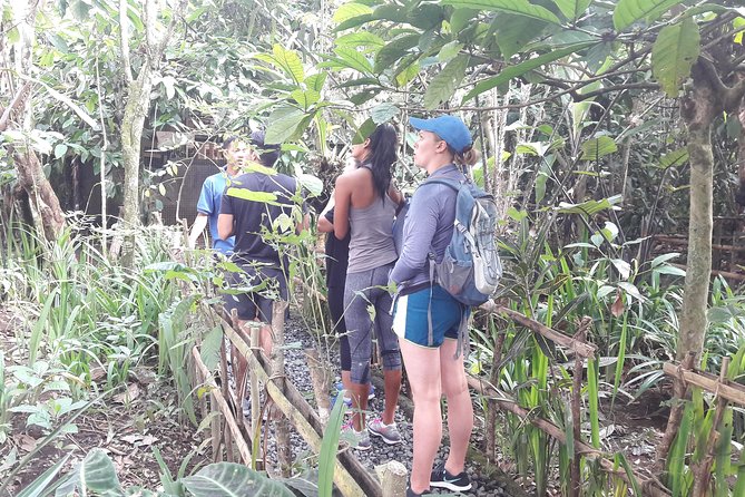 Bali Eco & Educational Cycling Tour - Downhill Cycling on Quiet Back Roads Through Rice Paddies