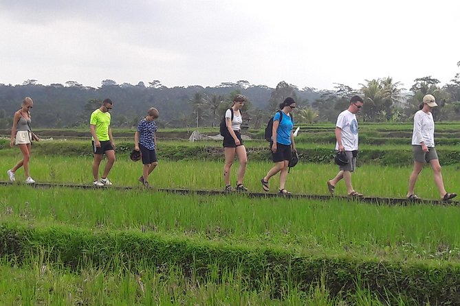 Bali Eco & Educational Cycling Tour - Learning Real Balinese Culture While You Ride